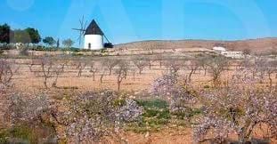 House in Las Negras