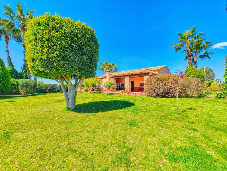 Foto 526ec678-da0e-44bd-ae74-fb0ab8e80fc0. Casa amb calefacció aparcament piscina a Las Bayas Elche / Elx