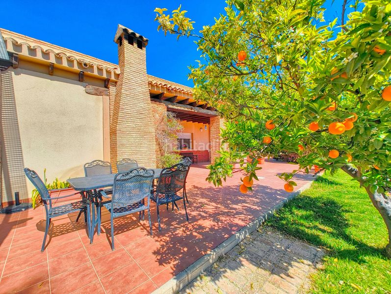 Foto bf9284c9-b363-4f94-ba89-59d6442ff144. Casa amb calefacció aparcament piscina a Las Bayas Elche / Elx