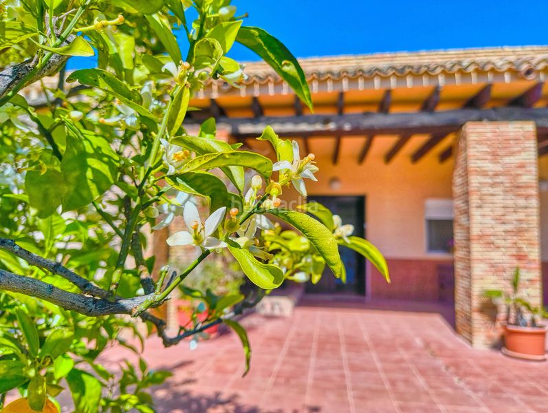 Foto dd47c071-8d45-49f9-bebf-0ddd53d561ee. Casa amb calefacció aparcament piscina a Las Bayas Elche / Elx