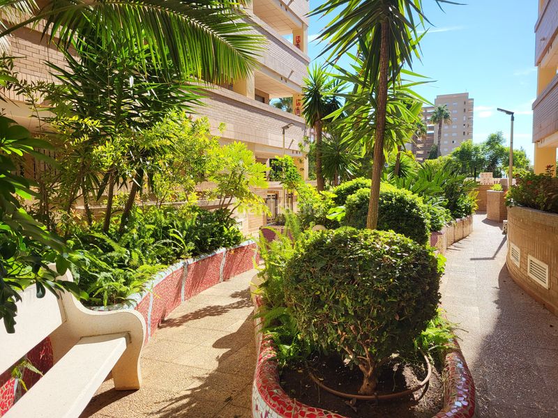 Foto 49d93eae-3a7b-42f7-beee-3c6bd5cbe11e. Pis a avenida central 38 a Costa Caribe Oropesa del Mar
