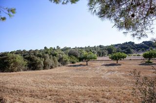 Residential Plot in Son Xigala