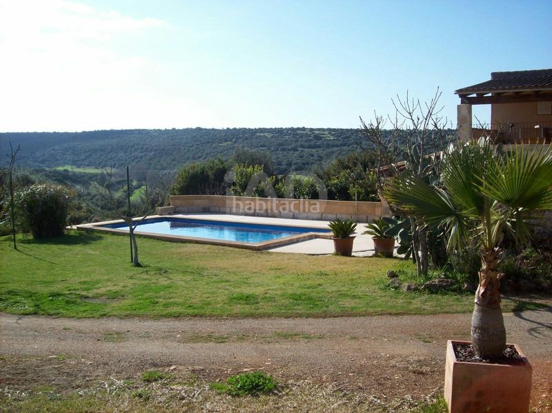 Foto 7a928fdf-9363-4b93-9697-56964b7ae2a5. Masia amb calefacció piscina a Manacor centre Manacor