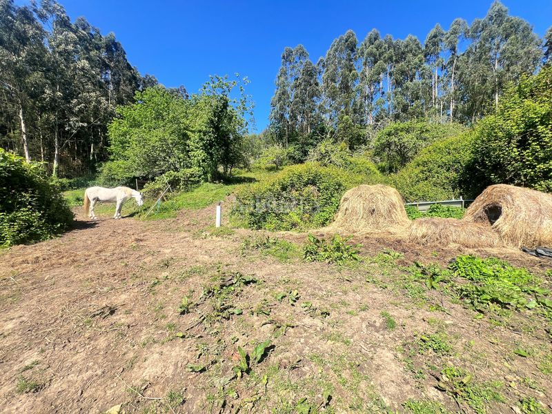 Foto b65b6387-3b71-49d8-a511-044106ce8175. Casa aparellada a Pillarno Castrillón
