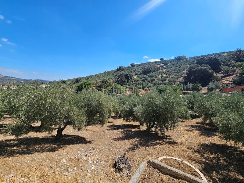 Foto b3b973ec-3b58-4ac8-a067-7a855152d085. Casa a Montefrío