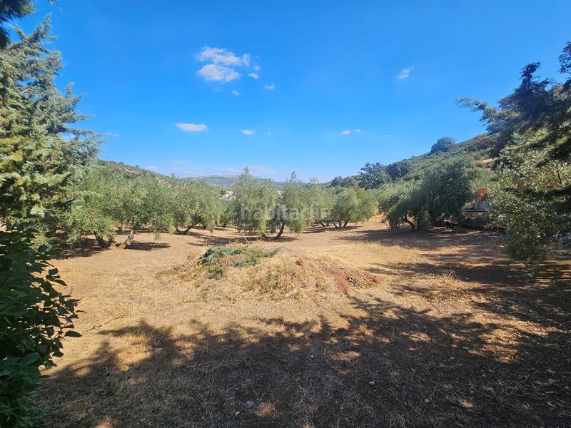 Foto ca5e0056-1a4e-4d38-b6dd-8b3a02c82598. Casa a Montefrío