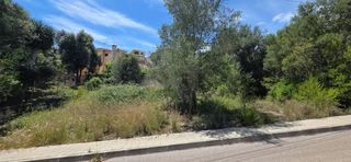 Terreny residencial a Carrer de son puça 75