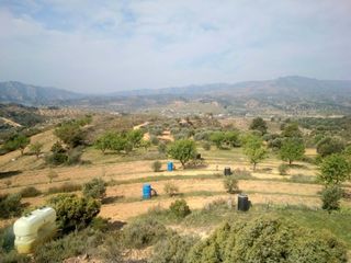 Fondo rustico in Riba-roja d´Ebre