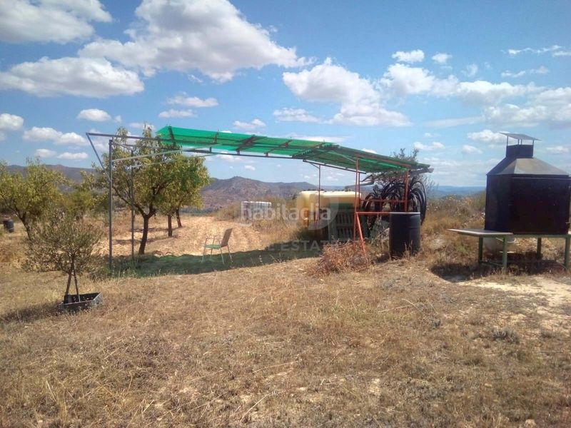 Foto 4e67b3a6-019e-42d6-9b23-2d391ea45cce. Finca rústica a Riba-roja d´Ebre