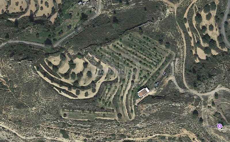 Foto a4dd444a-186c-46b0-803a-266659c38d5f. Finca rústica a Riba-roja d´Ebre