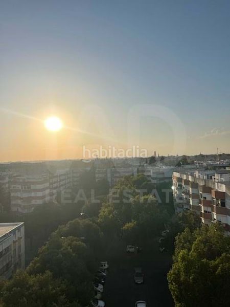 Foto 35b5a9e6-c7b0-498a-ae3f-8d30805b83ab. Pis a La Oliva Sevilla