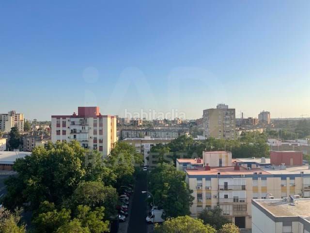 Foto c507a9ed-776d-454e-a6c2-287e2a43a7d3. Pis a La Oliva Sevilla