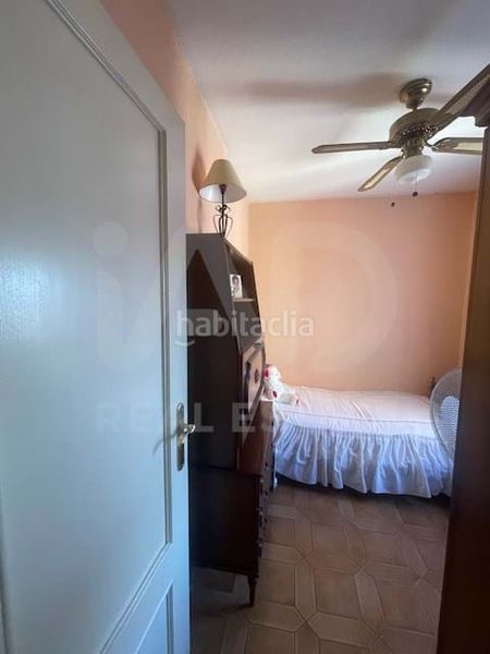 Foto e907e578-9a26-47cf-bd30-b338e40108d5. Pis a La Oliva Sevilla