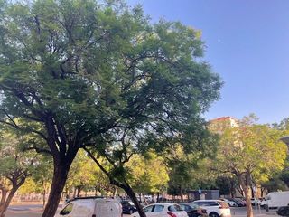 Flat in La Oliva