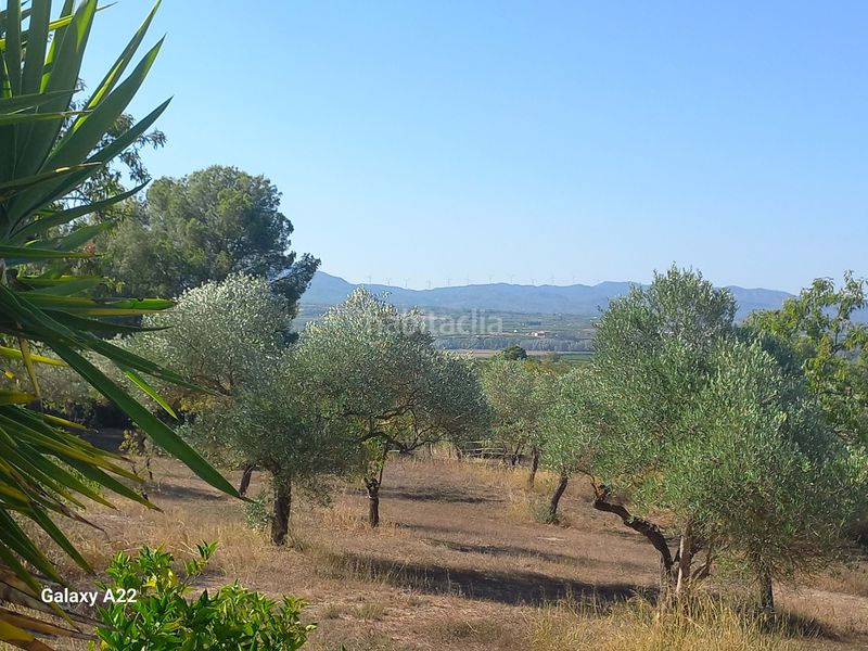 Foto dd1a4c05-a3d9-4574-a2da-e37d82d21c9c. Casa amb calefacció a Ginestar