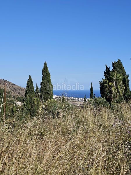 Foto 2f8a52f2-c89d-4779-a977-4d0695990560. Finca rústica a Frigiliana