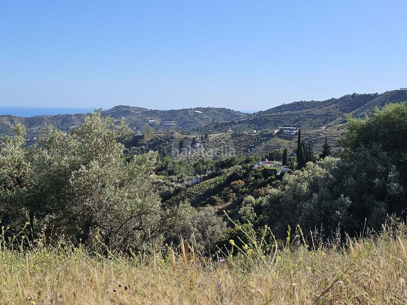 Foto e68b9d1c-5d43-49a8-a7a0-639c00db629d. Finca rústica a Frigiliana