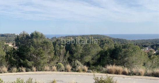 Foto e01f6349-cfd9-4221-83d2-37be20bbe0a7. Terreny residencial a Mas Borràs-Coto del Rey Vendrell (El)