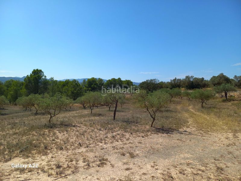 Foto 0c0f2bcb-9533-464d-898d-97d4356b52a5. Finca rústica en Ginestar