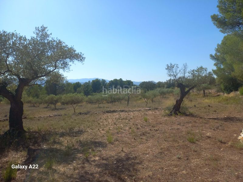 Foto 46851207-c276-4e14-8bcb-53242245d932. Finca rústica en Ginestar