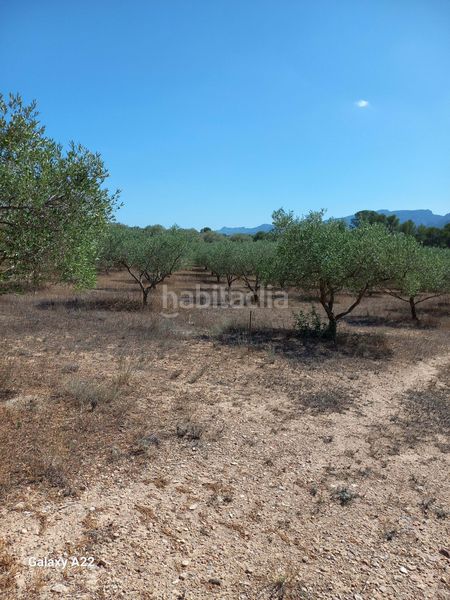 Foto 47289aec-7238-4162-ac5b-0ac471b12ef8. Finca rústica en Ginestar