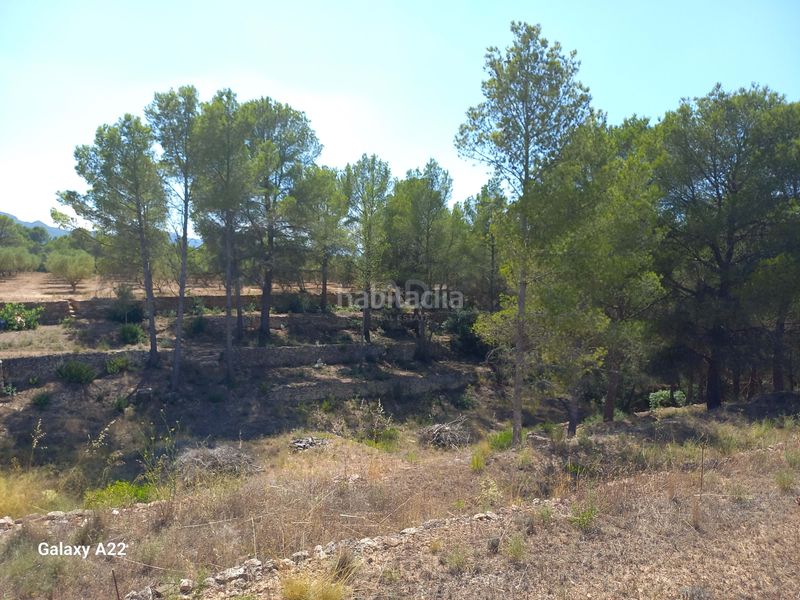 Foto 4c4b2e1a-6cba-4f10-9522-232e95c4bdef. Finca rústica en Ginestar