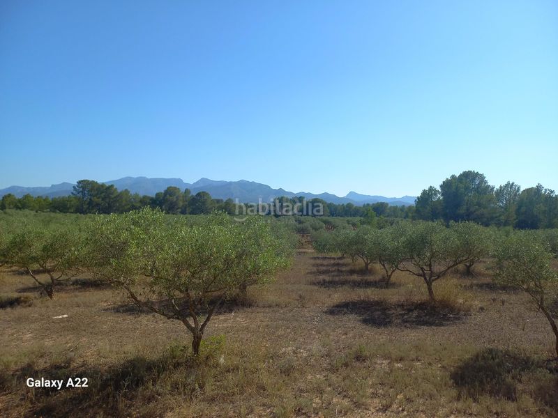 Foto 6cabaa7a-95b1-4016-88cc-158417274d42. Finca rústica en Ginestar