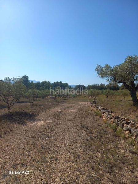 Foto b51fa4a0-c21f-4cd6-9423-ddec332fd1eb. Finca rústica en Ginestar