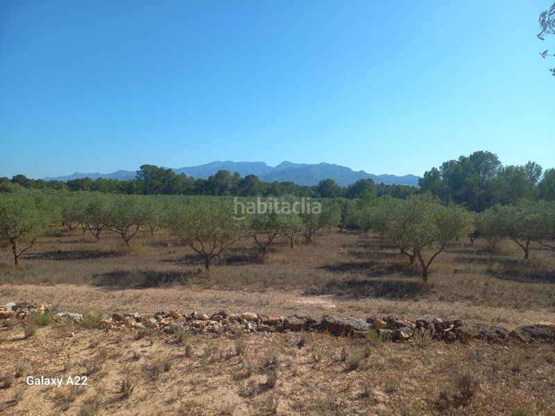 Foto b7d001c4-cf9f-4bfa-aa95-99e58bcf5251. Finca rústica en Ginestar