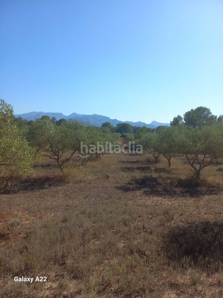 Foto db7556ea-8ad9-47c6-b64c-31279c873824. Finca rústica en Ginestar