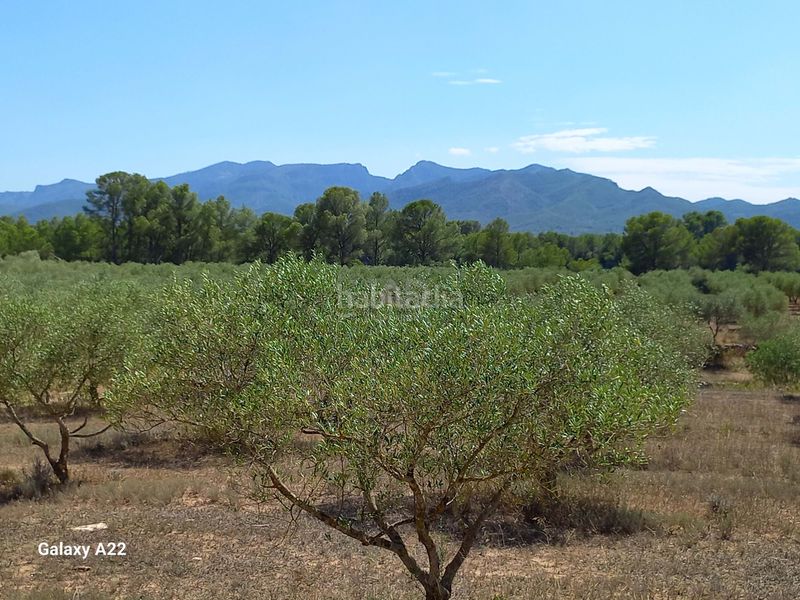 Foto e1a5f935-268d-422c-86c9-71b7736d73ad. Finca rústica en Ginestar