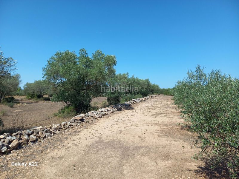 Foto 57cd7b77-8167-46ef-86f8-c55513abf515. Finca rústica a Ginestar