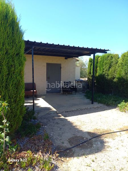 Foto 684a6a2c-7f59-4edc-87b1-e6b7618be624. Finca rústica a Ginestar