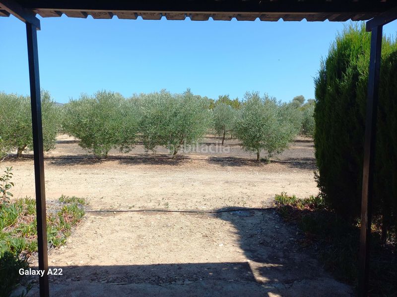 Foto 85a210ea-d335-43ef-ad72-e690ca9ca657. Finca rústica a Ginestar