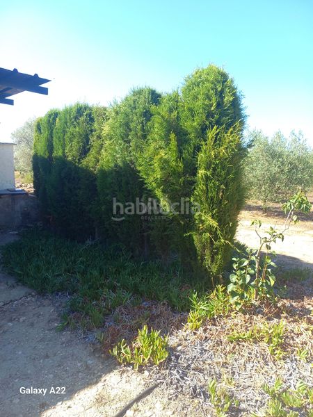 Foto b86f6d01-d092-405b-8507-1e0330cb564c. Finca rústica a Ginestar