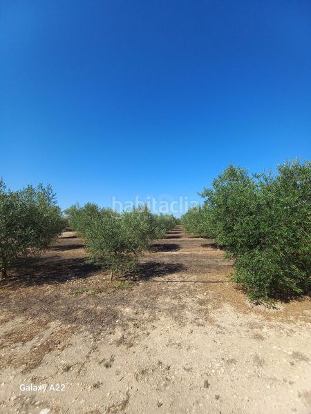 Foto b8efd27e-1322-4184-b685-5d5cf333f4f1. Finca rústica a Ginestar