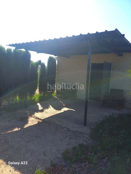 Foto bdbf4b4e-dc21-486d-bd4f-4324949ee942. Finca rústica a Ginestar