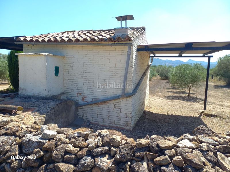 Foto c671ebe2-fb02-46d2-9303-266d78fbac13. Finca rústica a Ginestar