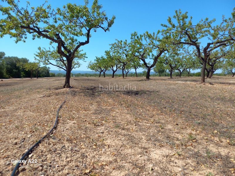 Foto d192a0a7-319f-4af9-9d12-c51ffaa0492d. Finca rústica a Ginestar