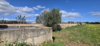 Fondo rustico in Cami de ses rotes des cavallers
