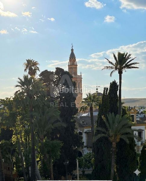Foto a5b10a46-f53f-4783-a318-52d5e463d3be. Pis amb calefacció a Écija
