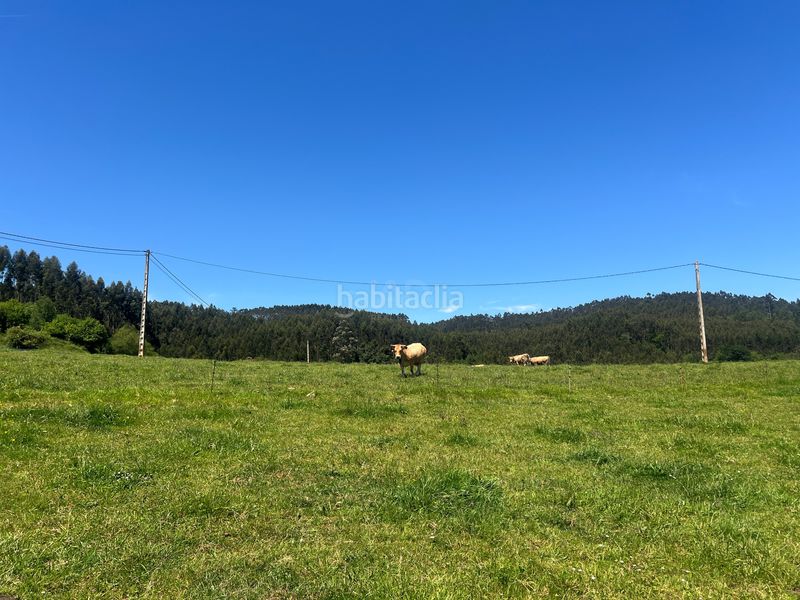 Foto a8df9215-979e-445e-99e7-ece787609494. Finca rústica a Pillarno Castrillón