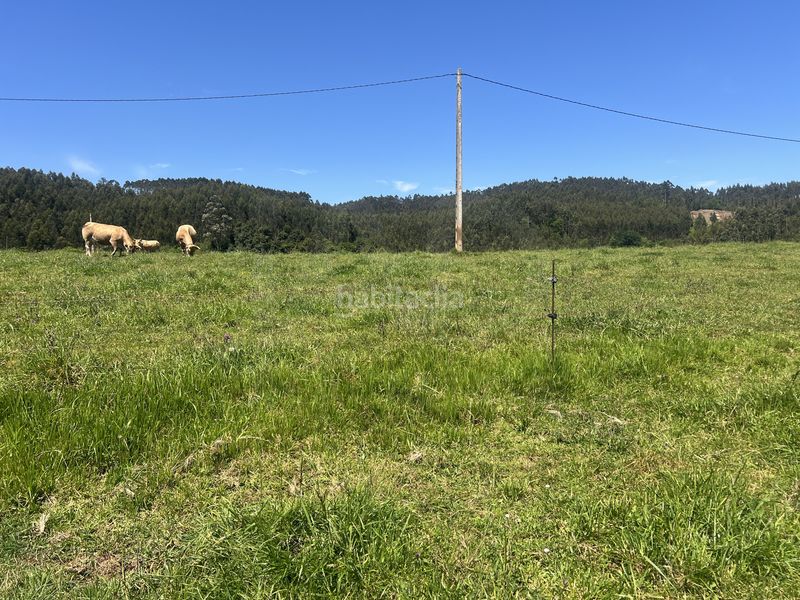 Foto aa3ecc75-d24d-40aa-93c8-7e04c136193b. Finca rústica a Pillarno Castrillón