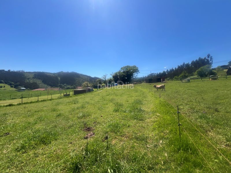 Foto bab5ee20-a729-448f-aa27-e0015b349148. Finca rústica a Pillarno Castrillón