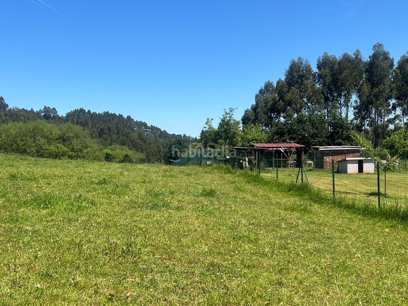 Foto bda03ded-bb09-4975-96f5-b72ce10b58d1. Finca rústica a Pillarno Castrillón