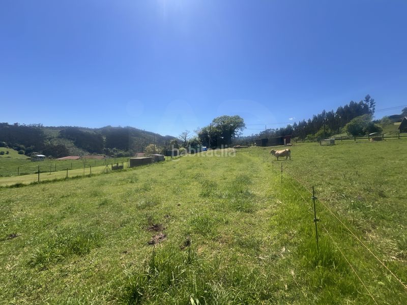 Foto c01f6f60-f315-421c-844e-ac7060c2c060. Finca rústica a Pillarno Castrillón