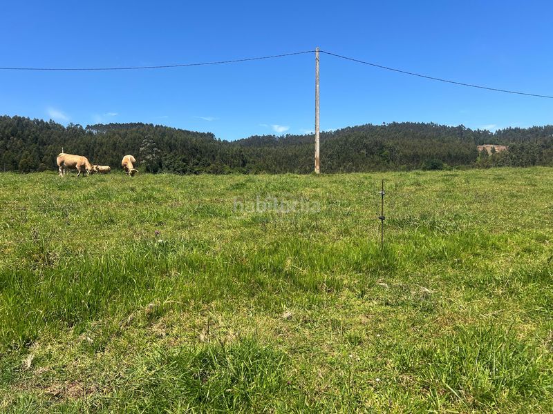 Foto c10c7639-b785-45b9-a915-f2fed6f0957a. Finca rústica a Pillarno Castrillón