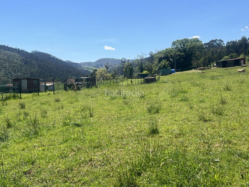 Foto cb09e72a-4fb0-4d42-94b3-3a8adeffa113. Finca rústica a Pillarno Castrillón