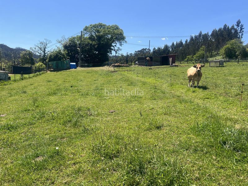 Foto cf12d5dd-4a97-48fb-ba7c-7416eb07b5ff. Finca rústica a Pillarno Castrillón