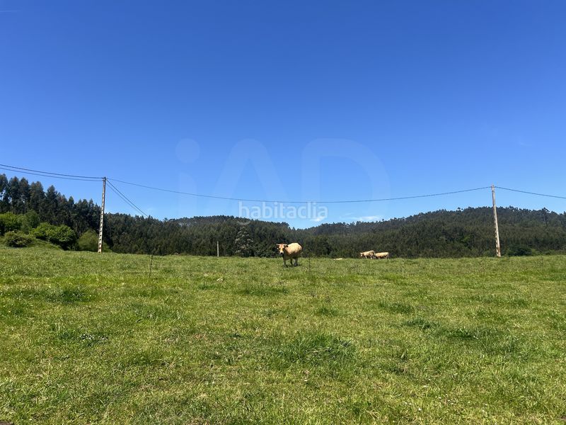 Foto de9b2bbb-48e2-42cb-beec-945c2200519f. Finca rústica a Pillarno Castrillón